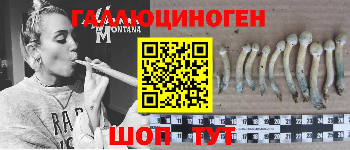 Конопля Петрозаводск