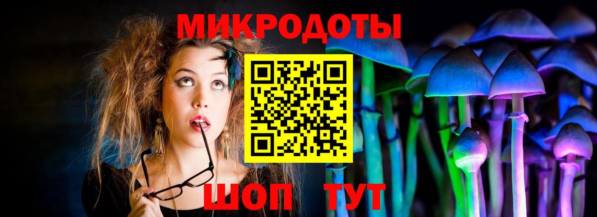 Галлюциногенные грибы мухоморы  Псилоцибиновые грибы мухоморы  Петрозаводск  как найти закладки  Вход с VPN 